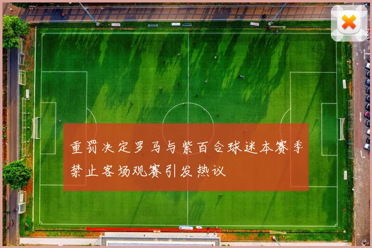 重罚决定罗马与紫百合球迷本赛季禁止客场观赛引发热议