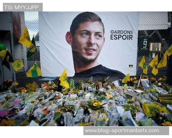 卡迪夫城就萨拉坠机事件向南特索赔12亿欧元提起诉讼 卡迪夫城就萨拉坠机事件向南特索赔12亿欧元提起诉讼